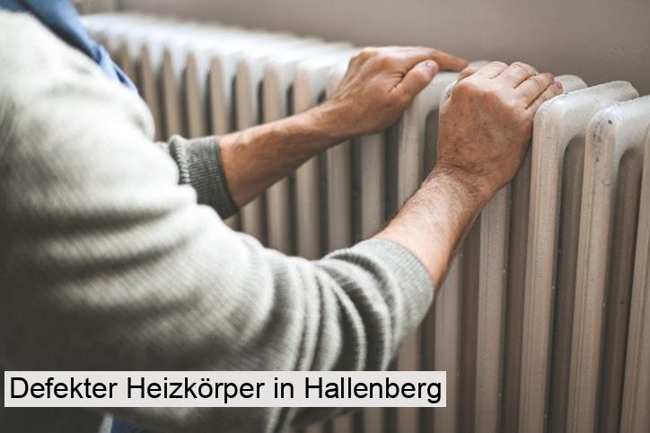 Defekter Heizkörper in Hallenberg